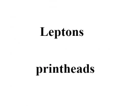 Печатающая головка принтера Leptons ST230, 200 dpi
