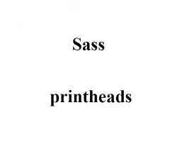 Печатающая головка принтера Sass identjet M4-2, 200 dpi