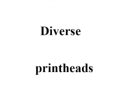 Печатающая головка принтера Diverse Bent Nygaard, 300 dpi