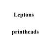 Печатающая головка принтера Leptons AP406, AP516, ST406, ST516, 200 dpi фото 1