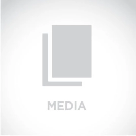 Zebra 10028598, RFID метка UHF Silverline Blade Global (60 x 25 мм)