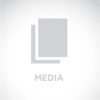 Zebra 10028598, RFID метка UHF Silverline Blade Global (60 x 25 мм) фото 1